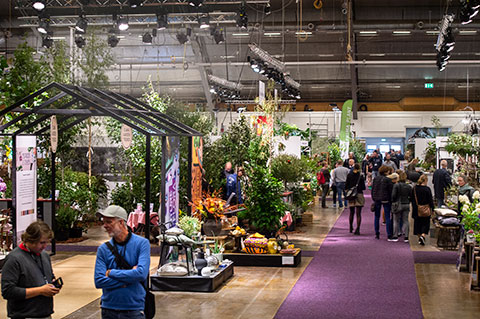 Elmia Garden summerar - en buffé av grön inspiration