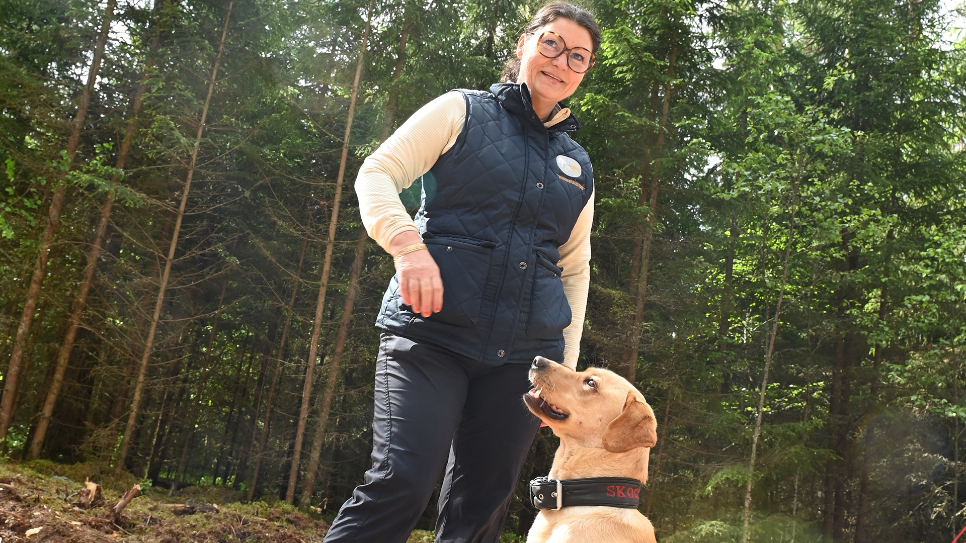 Meet Montin - the forest fire dog